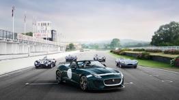 Jaguar F-Type Project 7 (2015) - widok z przodu