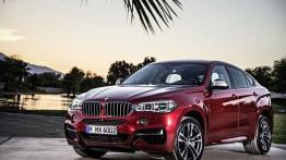 BMW X6 II M50d (2015) - widok z przodu