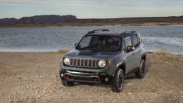 Jeep Renegade Trailhawk (2015) - widok z przodu