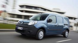 Renault Kangoo II Express Maxi Facelifting 2013 1.5 Blue dCi 95 95KM 70kW 2019-2021