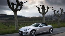 Jaguar F-Type V6S Rhodium Silver - lewy bok