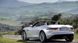 Jaguar F-Type V6S Rhodium Silver - widok z tyłu