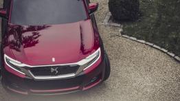 Citroen DS Wild Rubis Concept (2013) - maska - widok z góry