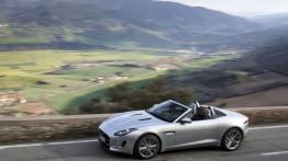 Jaguar F-Type V6S Rhodium Silver - widok z góry