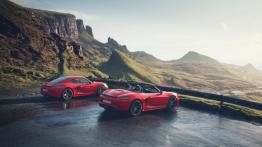 Porsche Boxster 718 Cabrio 2.0 300KM 221kW 2016-2023