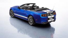 Ford Mustang Shelby GT500 Cabrio 2013 - widok z góry