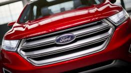 Ford Edge Concept (2013) - grill