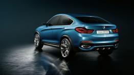 BMW X4 Concept (2013) - widok z tyłu