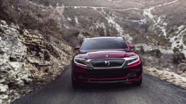 Citroen DS Wild Rubis Concept (2013) - widok z przodu