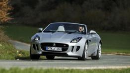 Jaguar F-Type V6S Rhodium Silver - widok z przodu