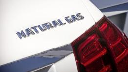 Mercedes E 200 Natural Gas Drive (2013) - emblemat