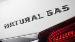 Mercedes E 200 Natural Gas Drive (2013) - emblemat