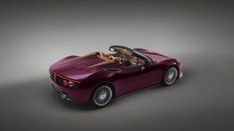 Spyker B6 Venator Spyder Concept (2013) - widok z góry