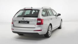 Skoda Octavia III kombi (2013) - widok z tyłu