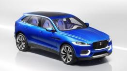 Jaguar C-X17 Concept (2013) - prawy bok