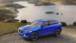 Jaguar C-X17 Concept (2013) - lewy bok