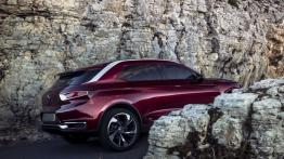 Citroen DS Wild Rubis Concept (2013) - prawy bok