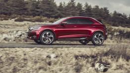 Citroen DS Wild Rubis Concept (2013) - lewy bok