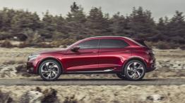 Citroen DS Wild Rubis Concept (2013) - lewy bok