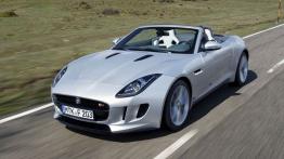 Jaguar F-Type V6S Rhodium Silver - lewy bok