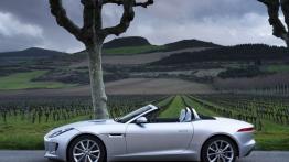 Jaguar F-Type V6S Rhodium Silver - lewy bok