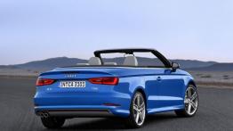 Audi A3 III Cabriolet 2.0 TFSI quattro (2014) - widok z tyłu