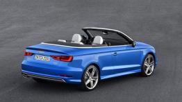 Audi A3 III Cabriolet 2.0 TFSI quattro (2014) - widok z tyłu