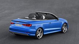 Audi A3 III Cabriolet 2.0 TFSI quattro (2014) - widok z tyłu