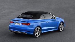 Audi A3 III Cabriolet 2.0 TFSI quattro (2014) - widok z tyłu