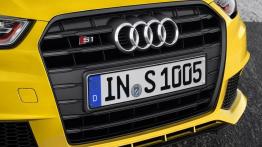 Audi S1 Sportback (2014) - grill