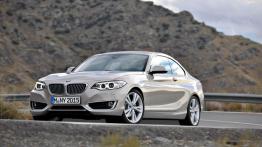 BMW serii 2 Coupe (2014) - widok z przodu