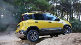 Fiat Panda III Cross (2014) - prawy bok