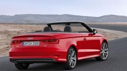 Audi A3 III Cabriolet 2.0 TDI (2014) - widok z tyłu