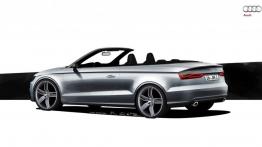 Audi A3 III Cabriolet 2.0 TFSI quattro (2014) - szkic auta