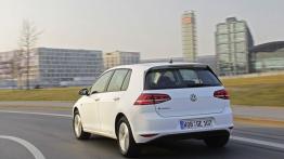 Volkswagen e-Golf (2014) - widok z tyłu