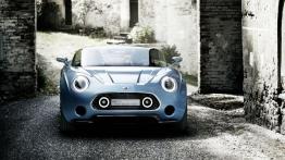 Mini Superleggera Vision Concept (2014) - widok z przodu