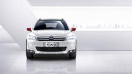 Citroen C-XR Concept (2014) - widok z przodu