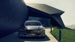 BMW Vision Future Luxury Concept (2014) - widok z przodu