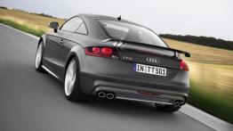 Audi TTS Competition Coupe (2014) - widok z tyłu