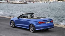 Audi A3 III Cabriolet 1.8 TFSI quattro (2014) - lewy bok