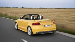 Audi TTS Competition Roadster (2014) - widok z tyłu