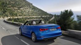 Audi A3 III Cabriolet 1.8 TFSI quattro (2014) - widok z tyłu