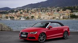 Audi A3 III Cabriolet 2.0 TDI (2014) - lewy bok