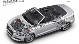 Audi A3 III Cabriolet 1.8 TFSI quattro (2014) - schemat konstrukcyjny auta