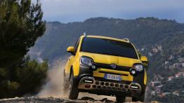 Fiat Panda III Cross (2014) - widok z przodu