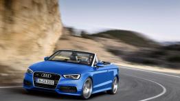 Audi A3 III Cabriolet 2.0 TFSI quattro (2014) - widok z przodu