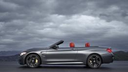 BMW M4 F83 Cabrio (2014) - lewy bok