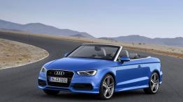 Audi A3 III Cabriolet 2.0 TFSI quattro (2014) - widok z przodu