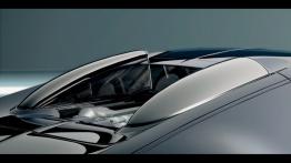 Bugatti Veyron 16.4 - tył - inne ujęcie