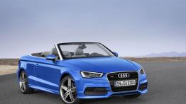 Audi A3 III Cabriolet 2.0 TFSI quattro (2014) - widok z przodu